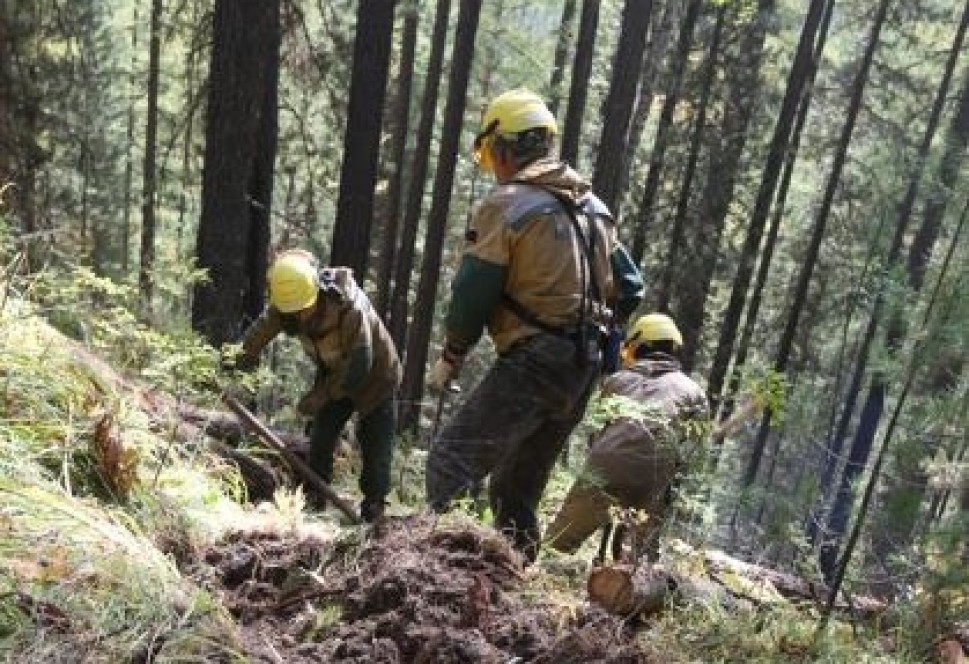 50 парашютистов федеральной Авиалесоохраны направлены в Туву, где за прошедшие сутки возникло 12 новых очагов лесных пожаров